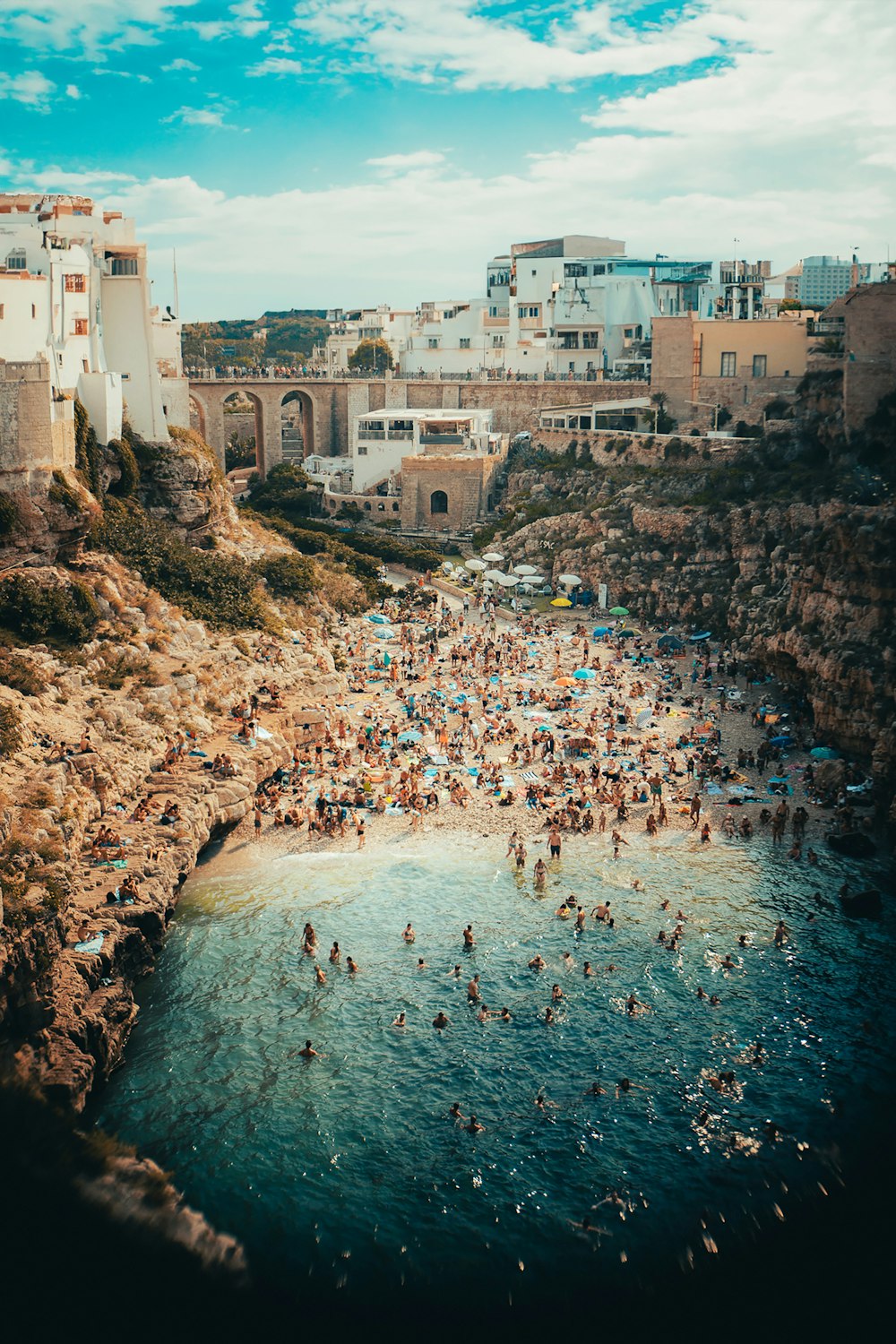 a group of people swimming in a body of water