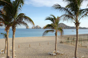 Cabo San Lucas