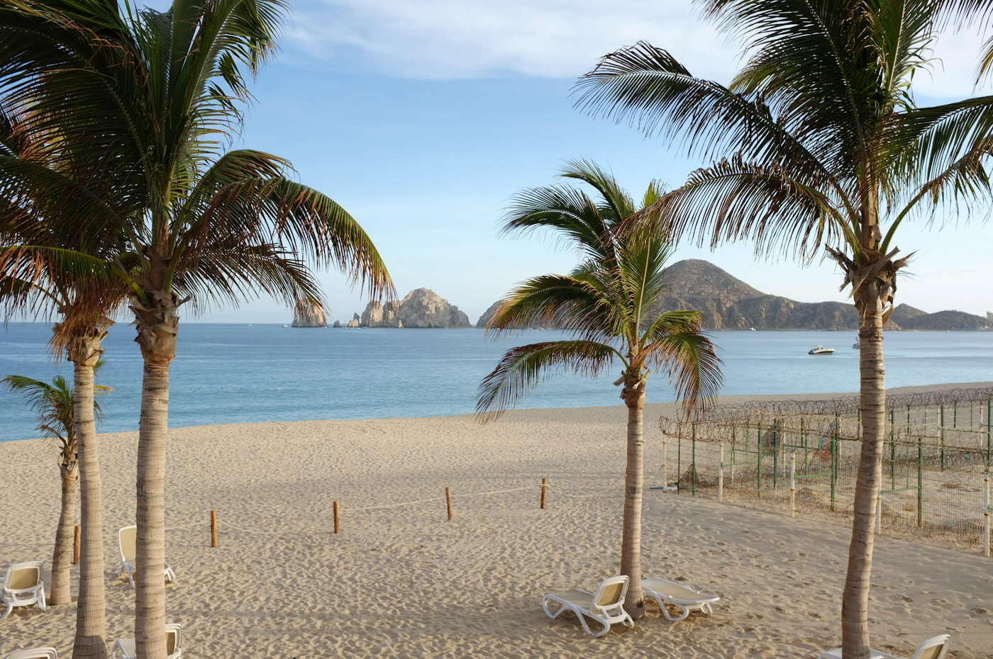 Cabo San Lucas beach in clear winter weather — white lounge chairs on pale sand between tall palm trees, the calm Sea of Cortez and El Arco visible on the horizon under a wide blue sky