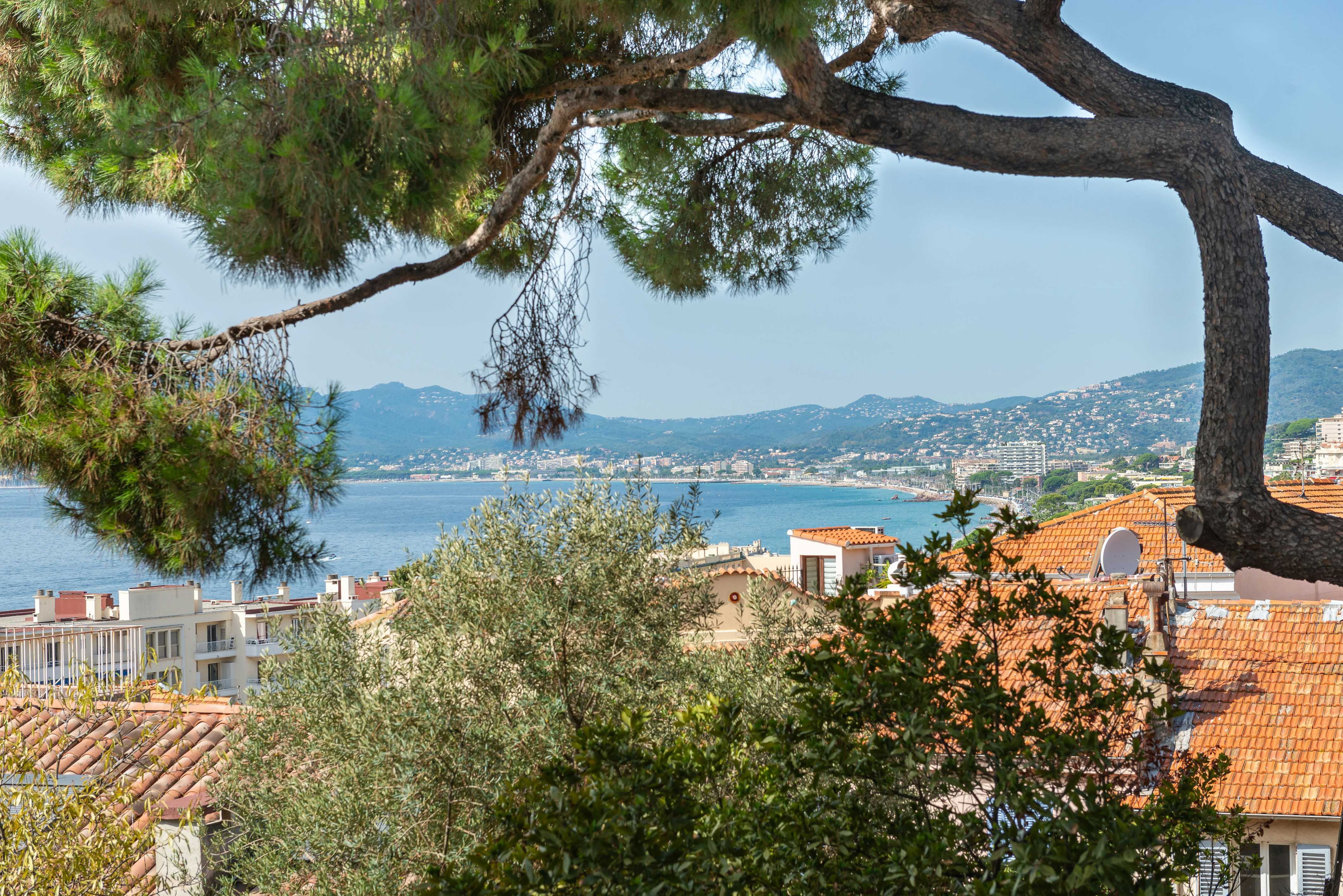 Photo by nikonprophoto