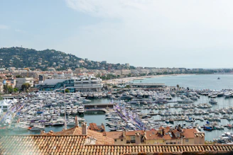 a harbor filled with lots of boats next to a hillside