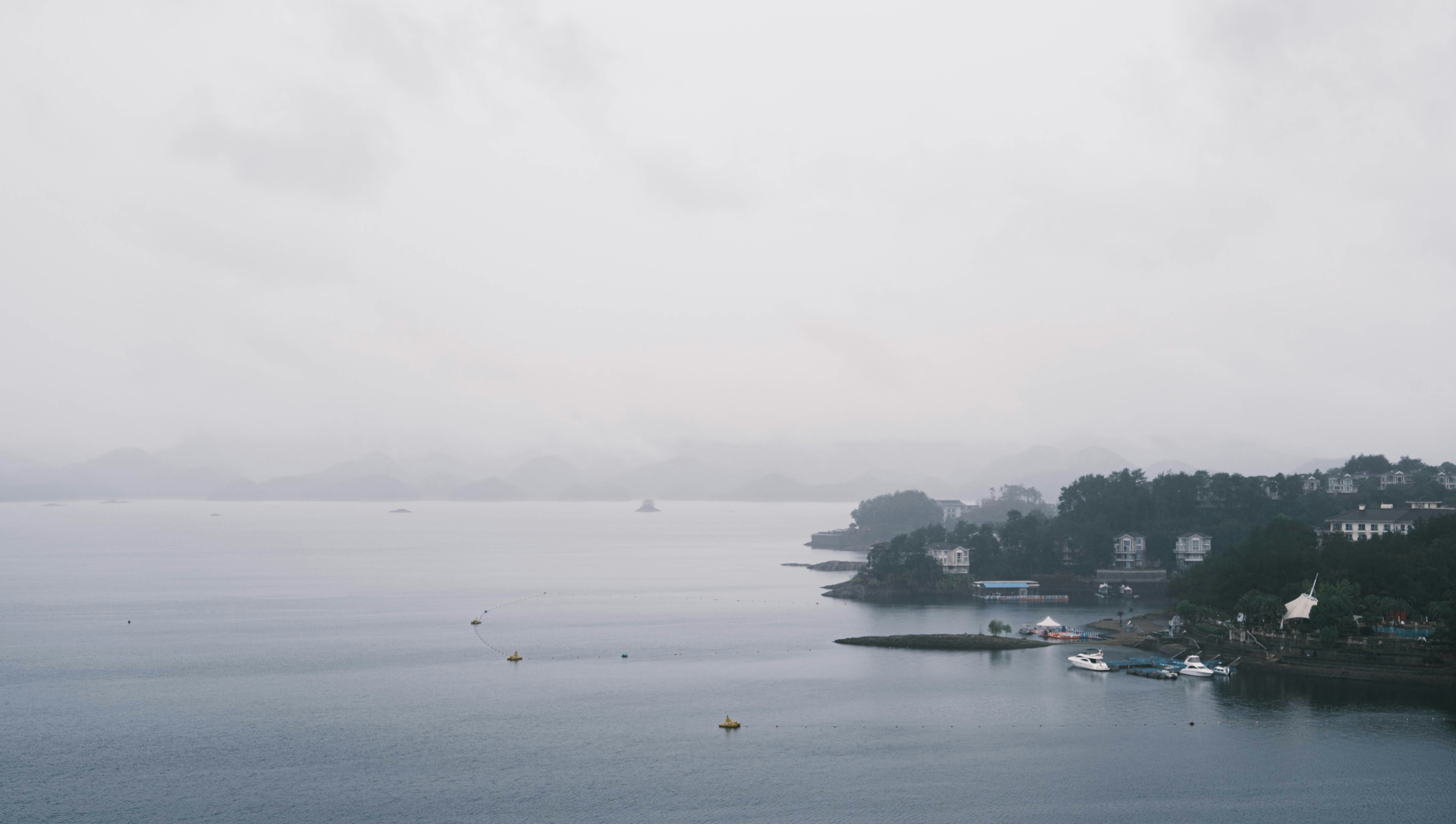 Photo by kevin_tomato