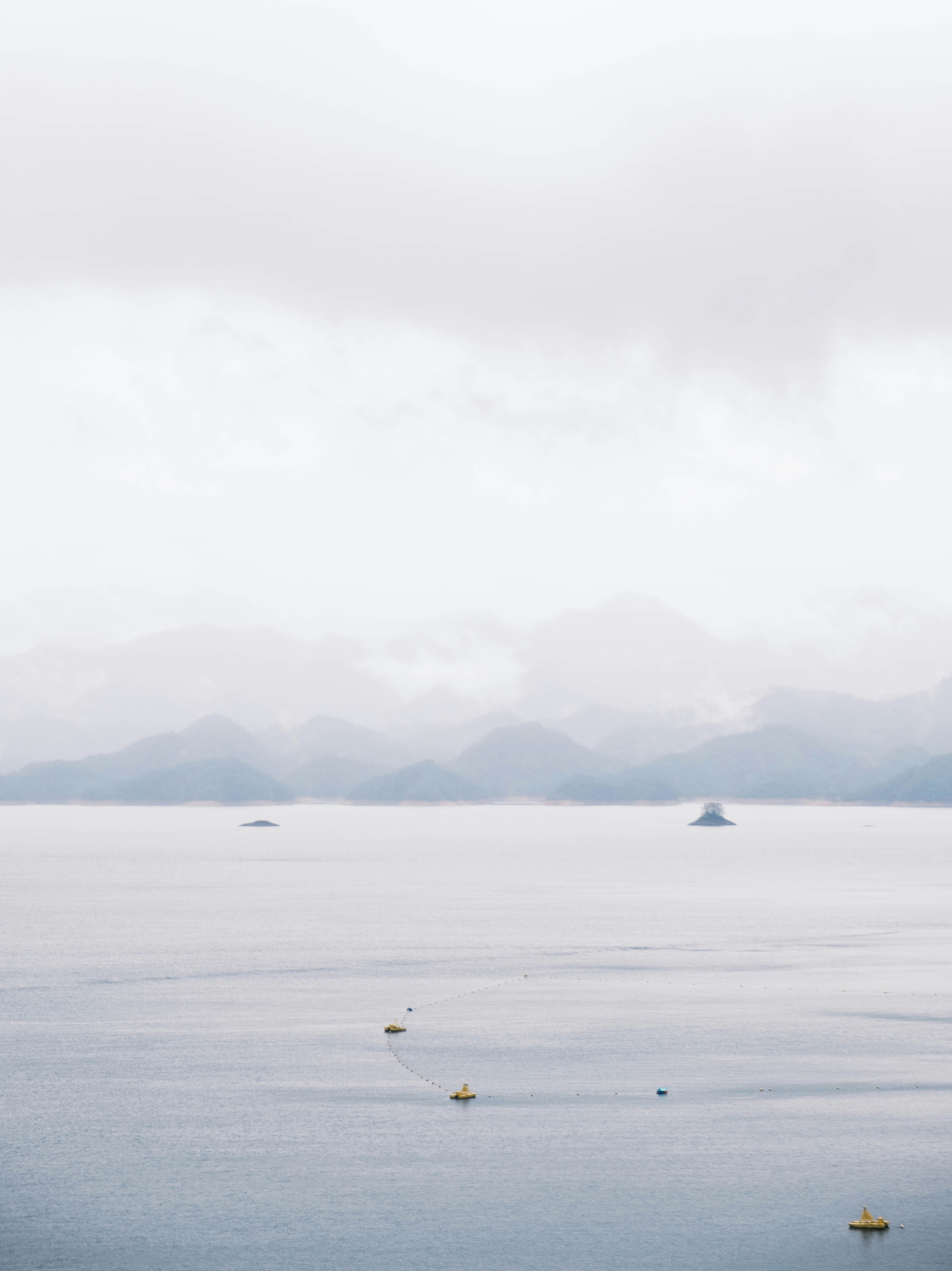 Photo by kevin_tomato