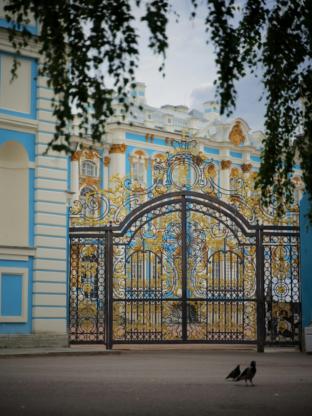 a couple of birds standing in front of a gate