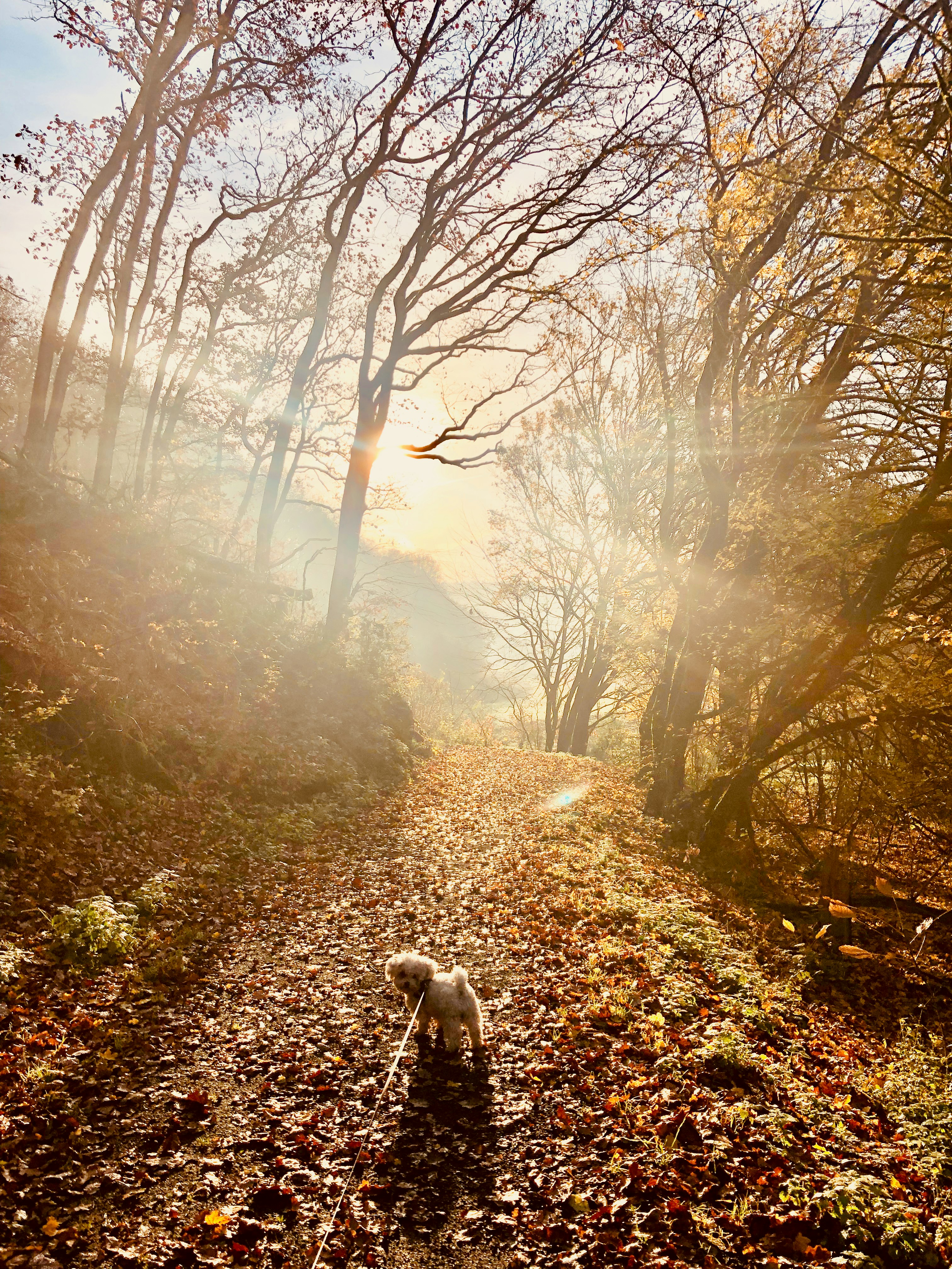Réservez votre moment zen
