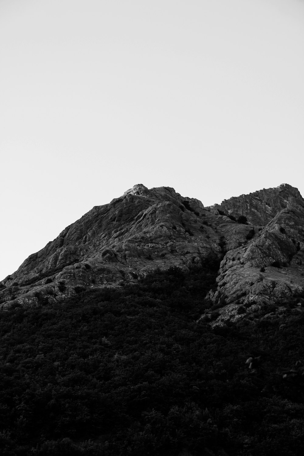 a black and white photo of a mountain