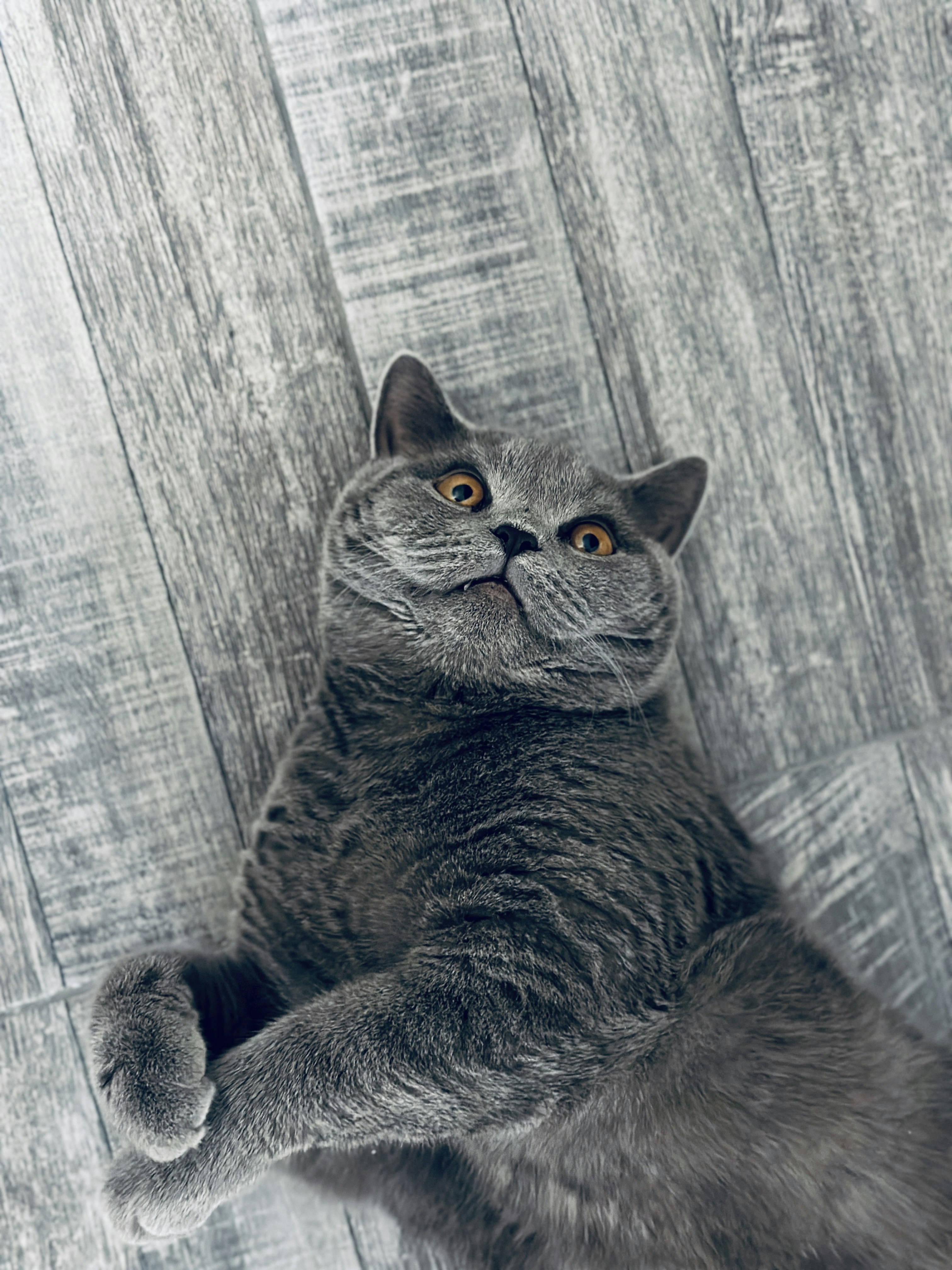 Photo by sarurobert1