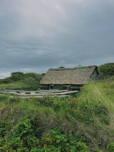 A rustic, thatched-roof cottage sits nestled amidst lush green vegetation. The structure is partially obscured by surrounding tall grass and foliage, with a wooden fence in front. The sky above is overcast, creating a moody backdrop to the serene landscape.