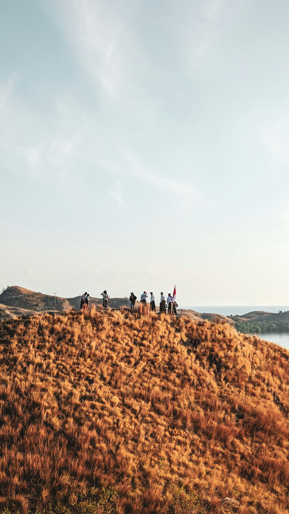 a group of people standing on top of a grass covered hill