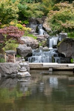 a small waterfall in the middle of a garden