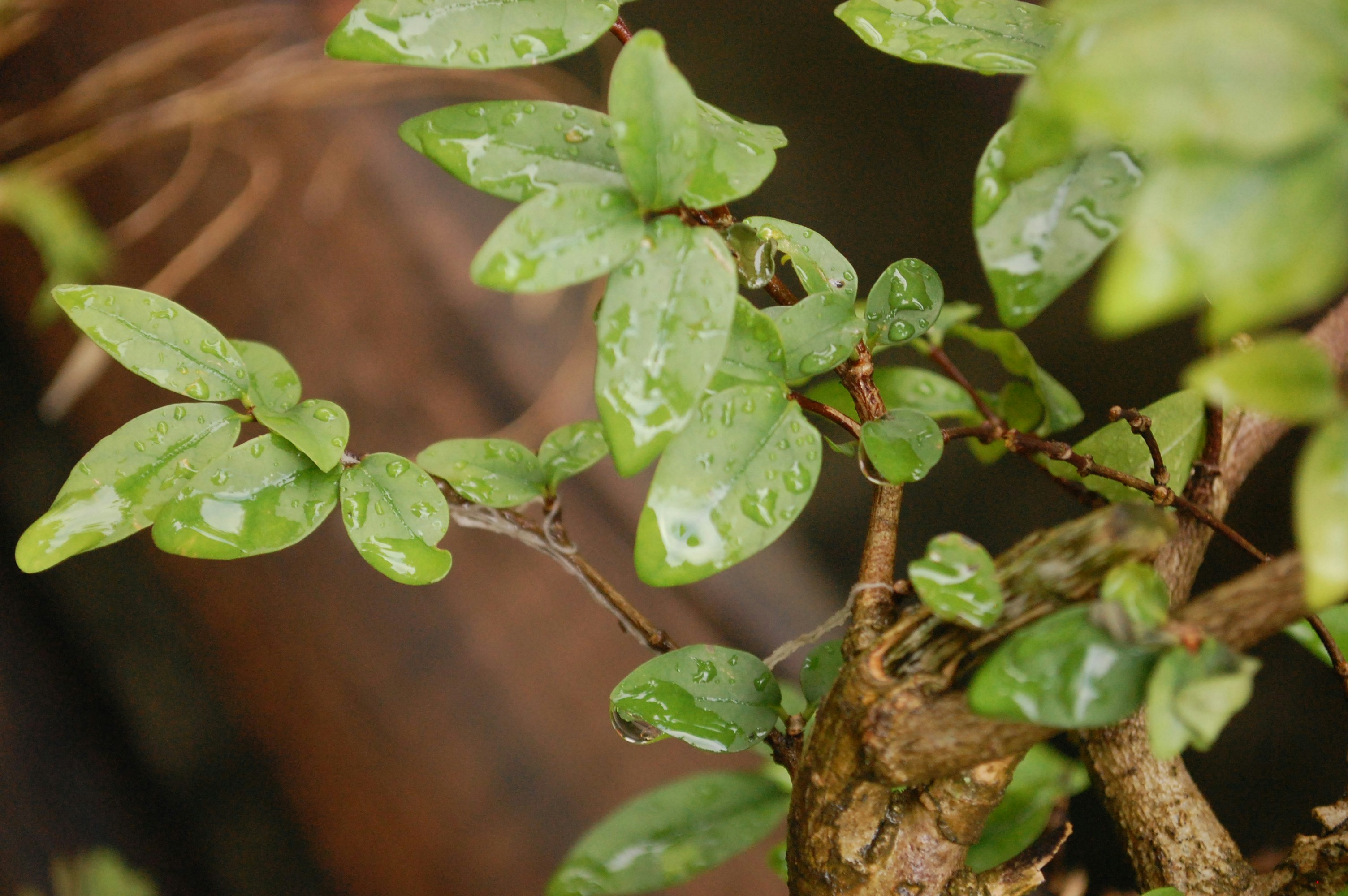 Photo by iventory_photo