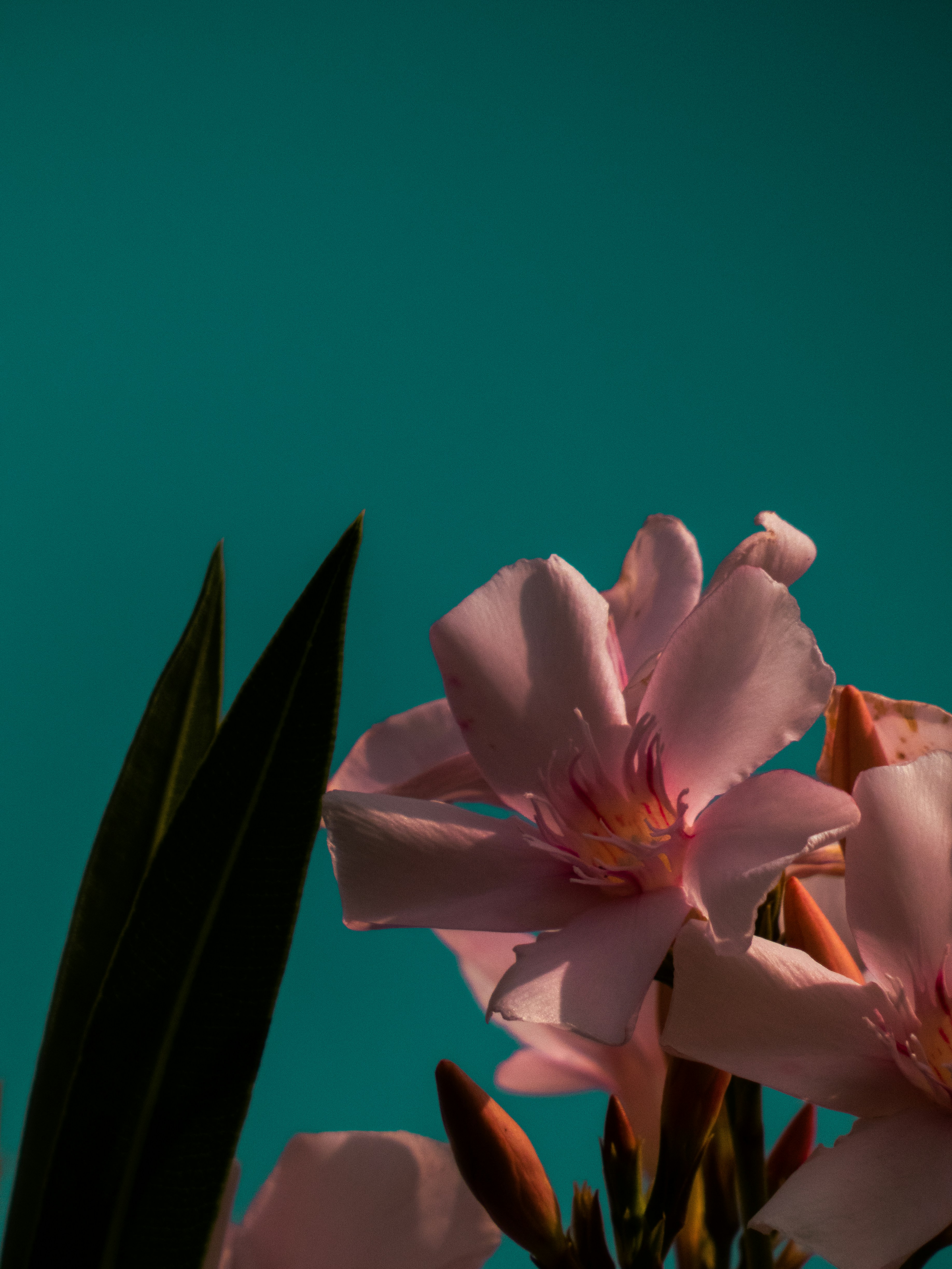 Photo by justmeandcamera