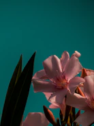 Terracotta-hued watercolor flowers blooming against a muted green background.