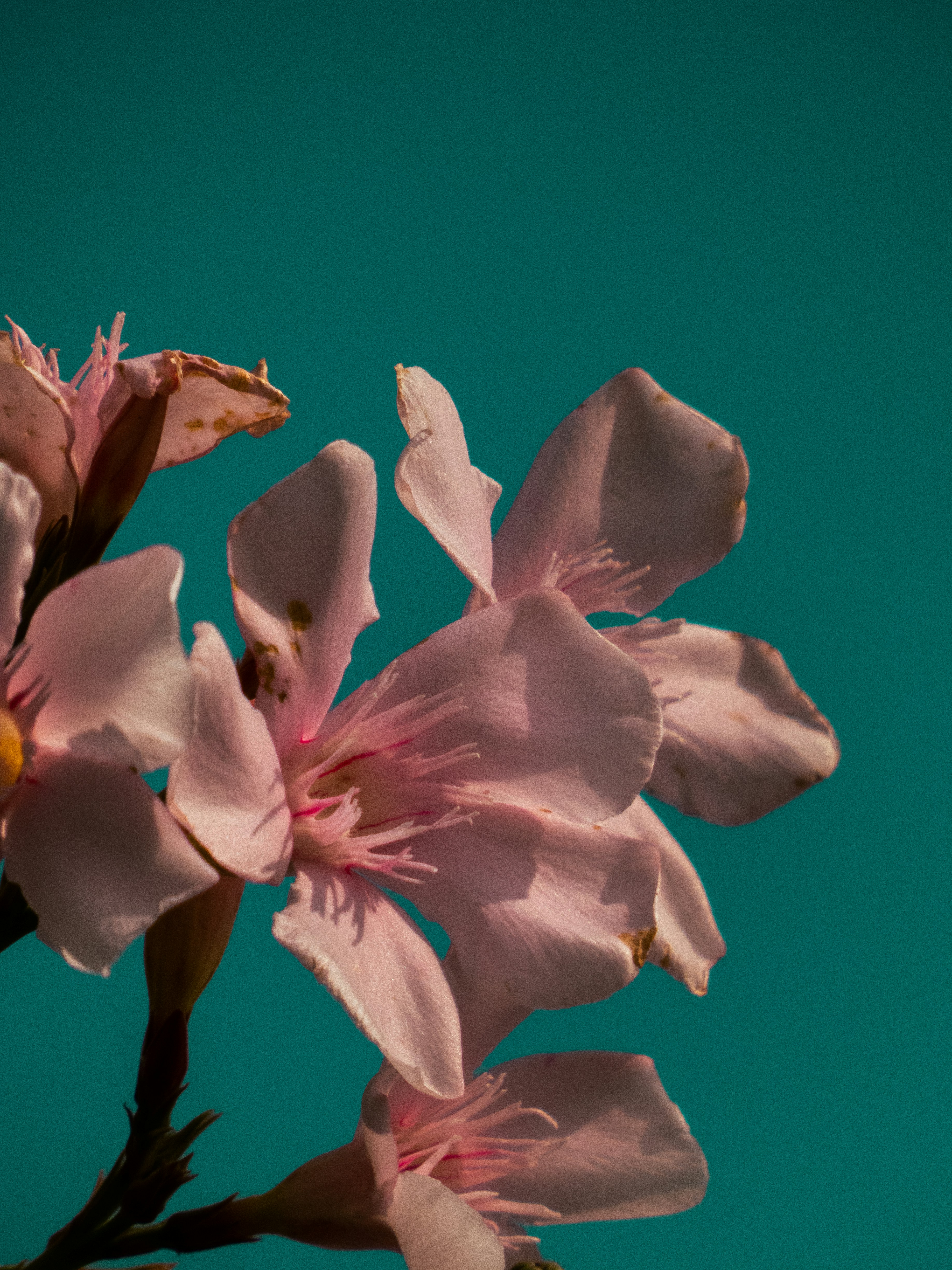 Photo by justmeandcamera