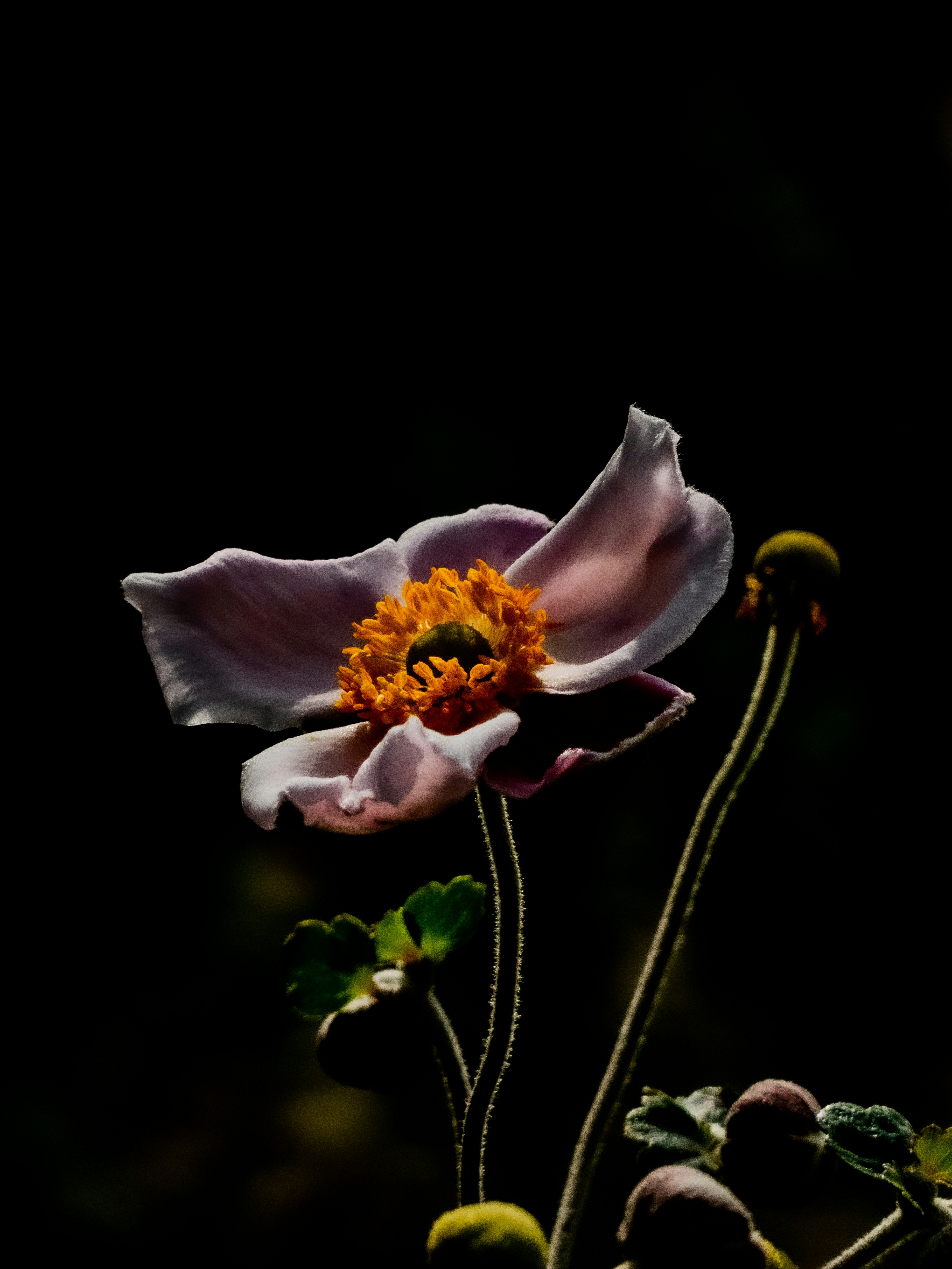 Photo by justmeandcamera