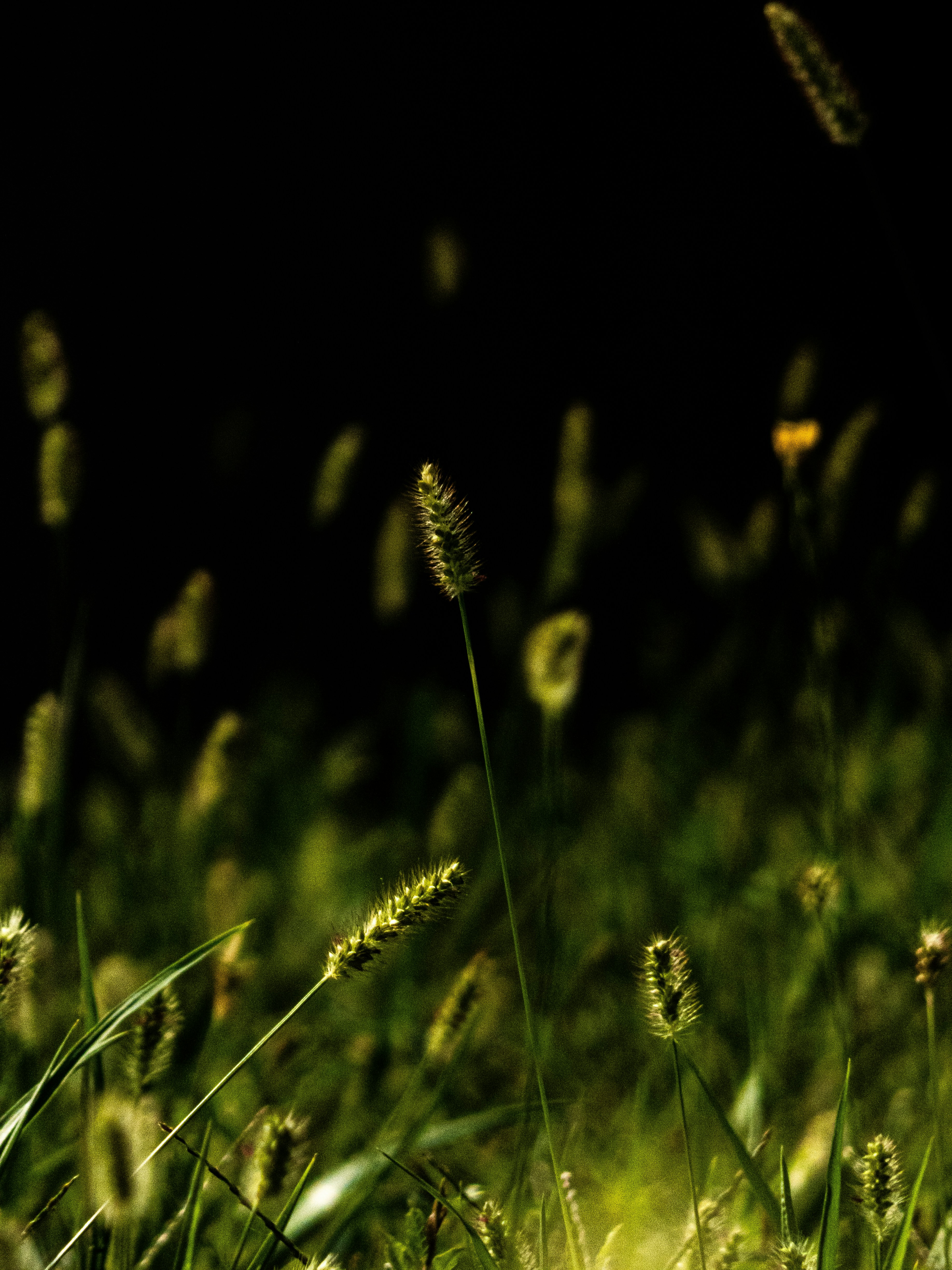 Photo by justmeandcamera