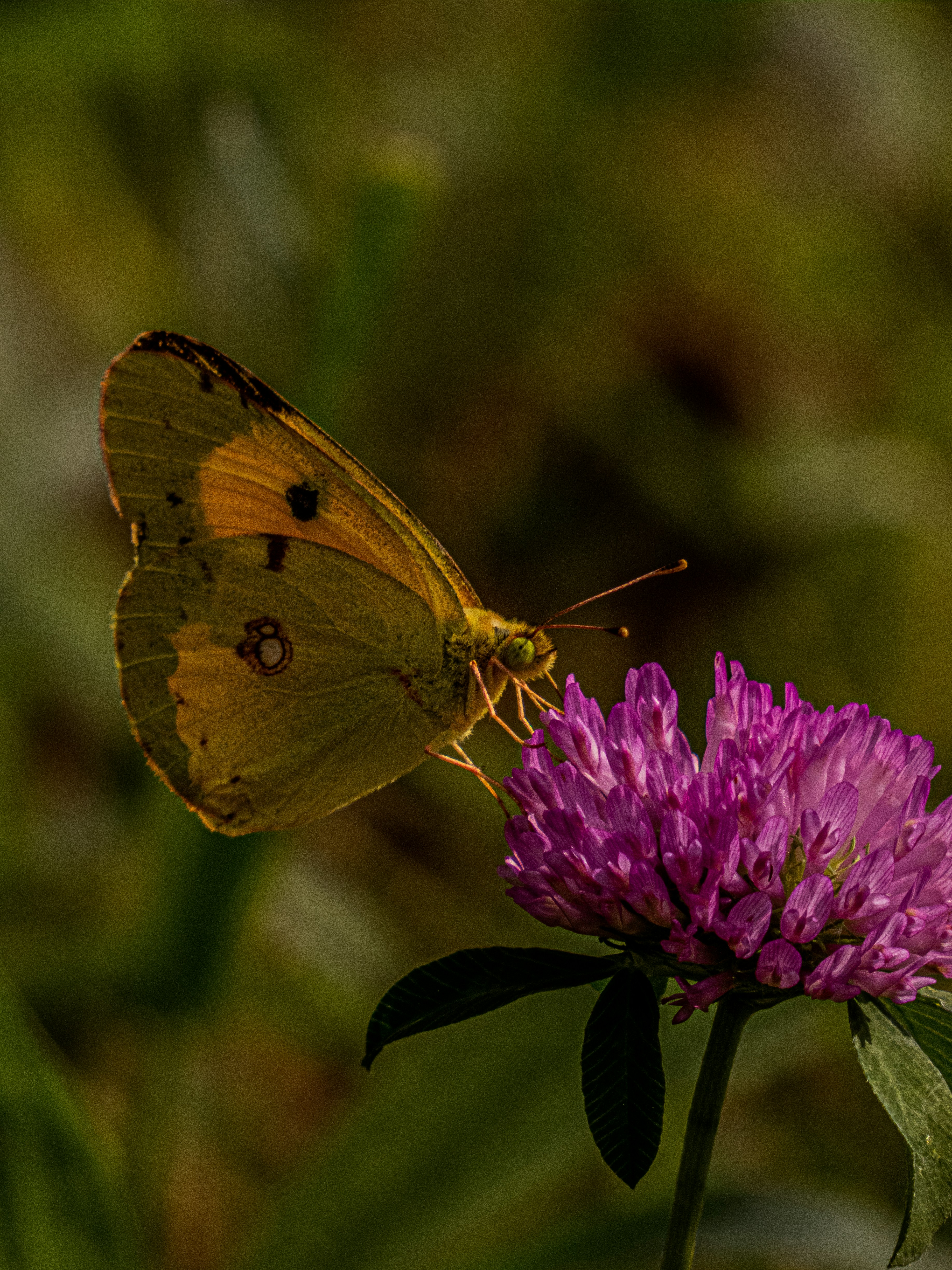 Photo by justmeandcamera