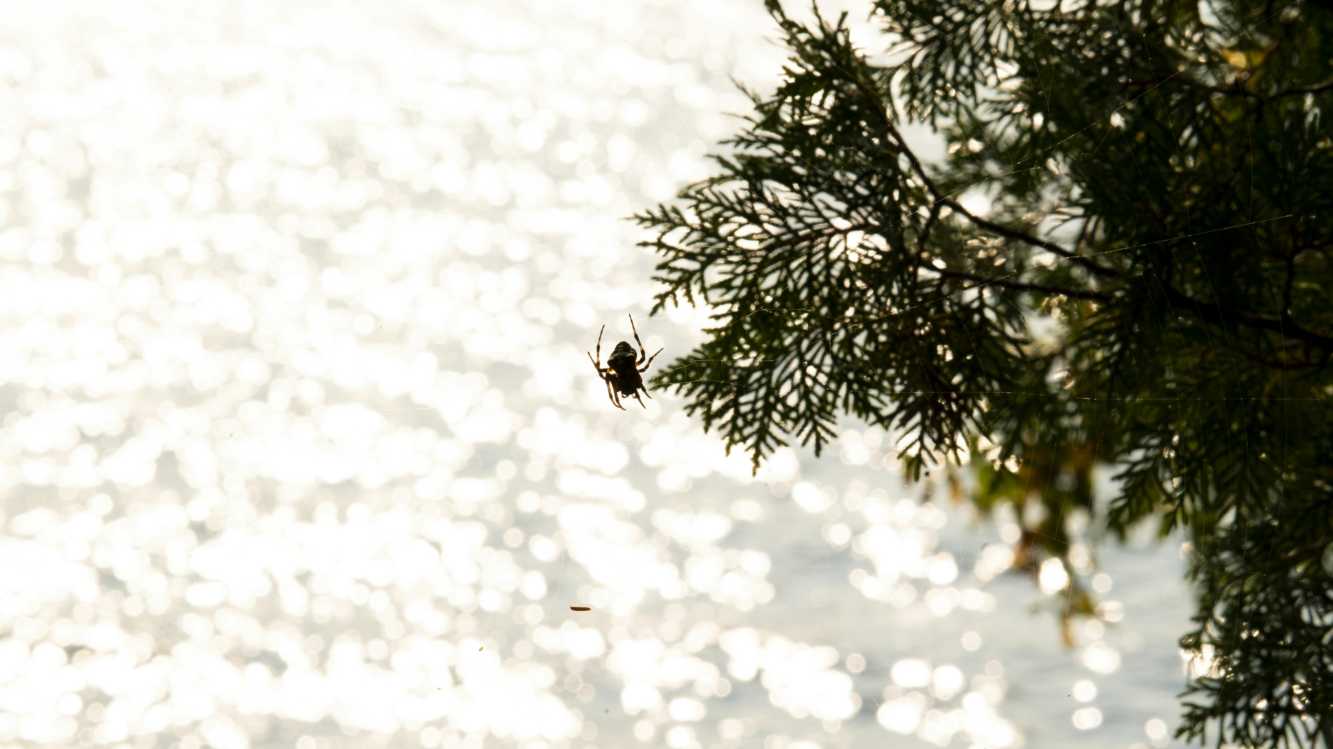 Leserbrief: Belastung durch Rassismus