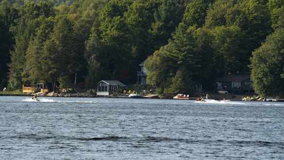 A serene lakeside scene with cabins nestled among lush green trees. The foreground features a calm lake, where people are engaging in water activities like jet skiing. The horizon is dominated by dense forest, creating a peaceful and recreational atmosphere.