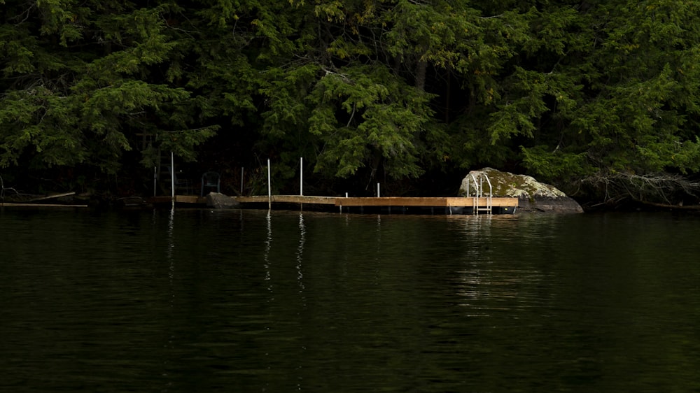 a body of water surrounded by trees and a dock