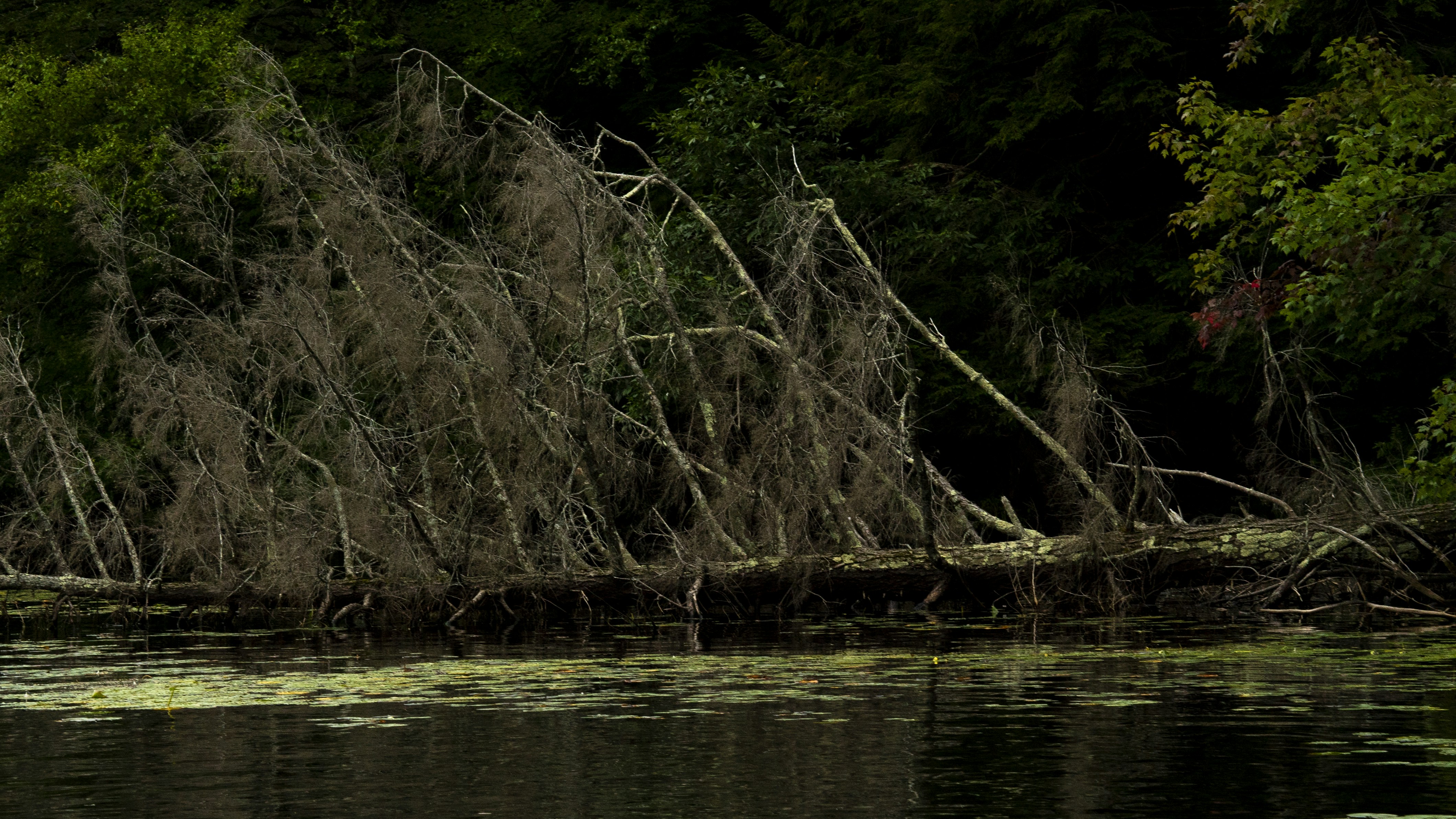 Lake Bums 259 Broken Bow Menu