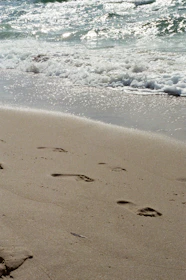 A peaceful sandy beach at sunrise with gentle waves and footprints in the sand.