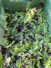 A basket filled with fresh leafy greens, glistening with morning dew.