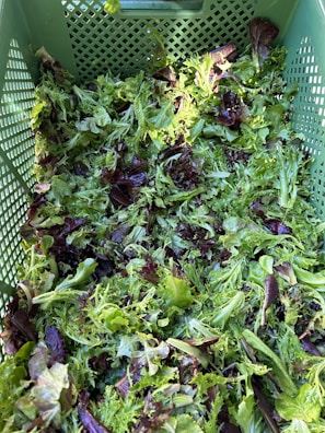 Baskets filled with a variety of fresh leafy greens outdoors.
