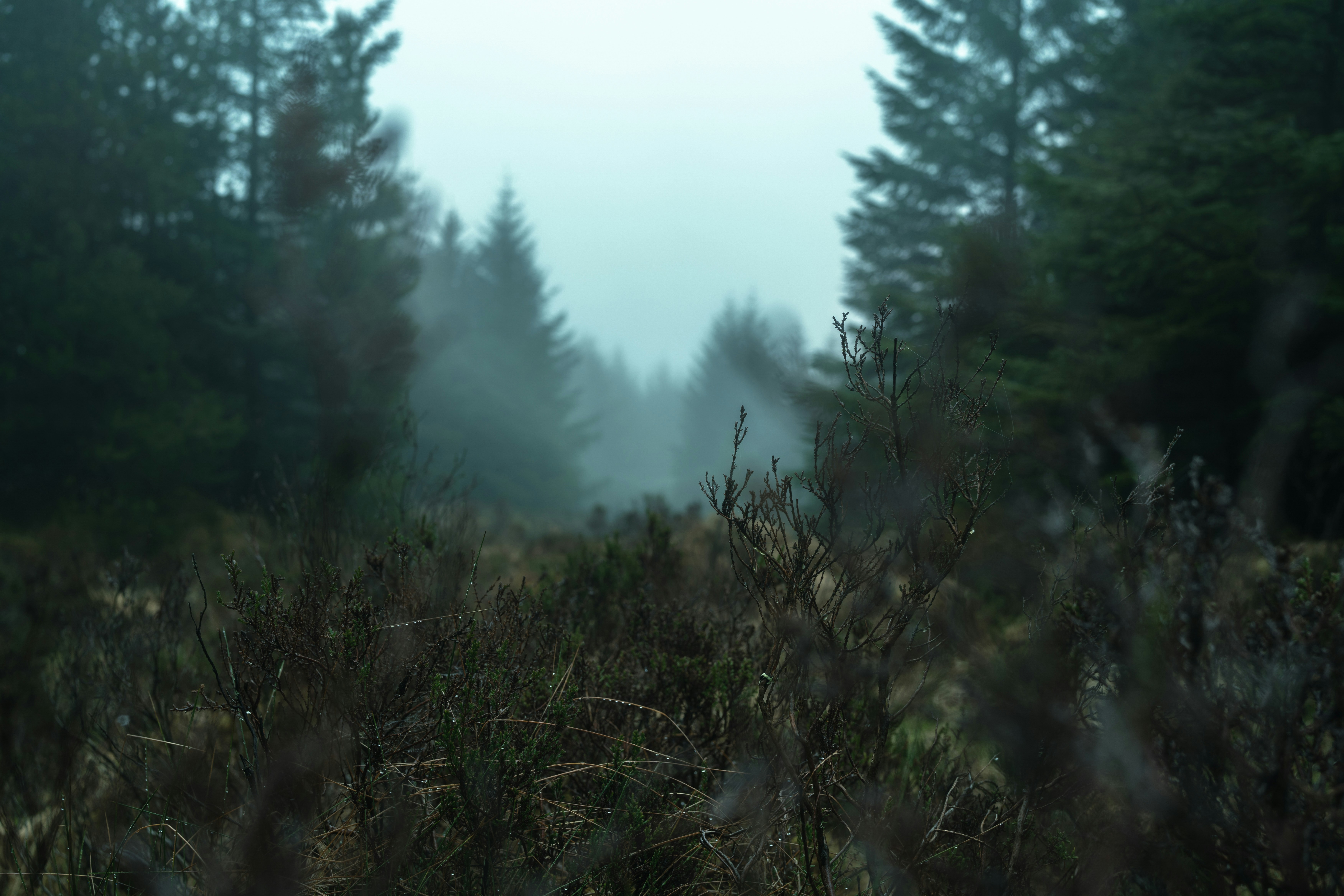 Photo by alexisnthere_