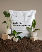A package of indoor plant soil labeled in German sits surrounded by soil mounds. Three small potted plants with lush green leaves are arranged on square pedestals and directly on the soil, creating a natural setting.