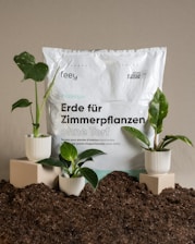 A package of indoor plant soil labeled in German sits surrounded by soil mounds. Three small potted plants with lush green leaves are arranged on square pedestals and directly on the soil, creating a natural setting.