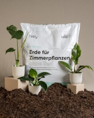 A package of indoor plant soil labeled in German sits surrounded by soil mounds. Three small potted plants with lush green leaves are arranged on square pedestals and directly on the soil, creating a natural setting.