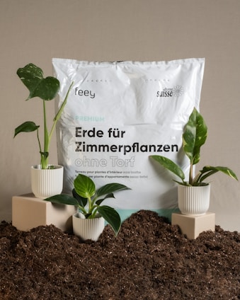A package of indoor plant soil labeled in German sits surrounded by soil mounds. Three small potted plants with lush green leaves are arranged on square pedestals and directly on the soil, creating a natural setting.