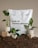 A package of indoor plant soil labeled in German sits surrounded by soil mounds. Three small potted plants with lush green leaves are arranged on square pedestals and directly on the soil, creating a natural setting.