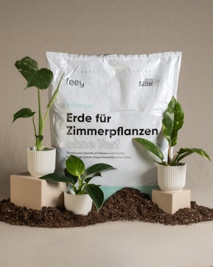 A package of potting soil is placed in the background, with text indicating it is for indoor plants and contains no peat. In the foreground, three small potted plants are positioned on wooden blocks with scattered soil around them.
