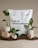 A package of potting soil is placed in the background, with text indicating it is for indoor plants and contains no peat. In the foreground, three small potted plants are positioned on wooden blocks with scattered soil around them.