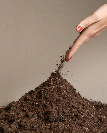 a woman's hand reaching into a pile of dirt