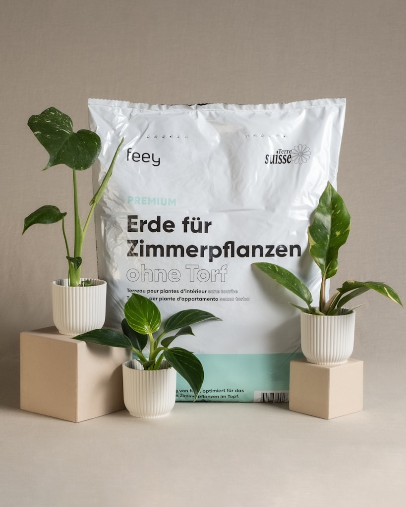 Organic Potting Soil