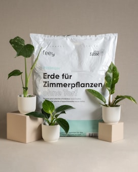 A white bag of soil labeled 'Erde f&uuml;r Zimmerpflanzen ohne Torf' is placed as the backdrop. In front, three potted green plants are displayed on beige pedestals of varying heights. The soil bag has branding and text in German and French, indicating that it is intended for indoor plants. The plants are in white, ribbed pots, and two are positioned on the pedestals for an aesthetically balanced arrangement.
