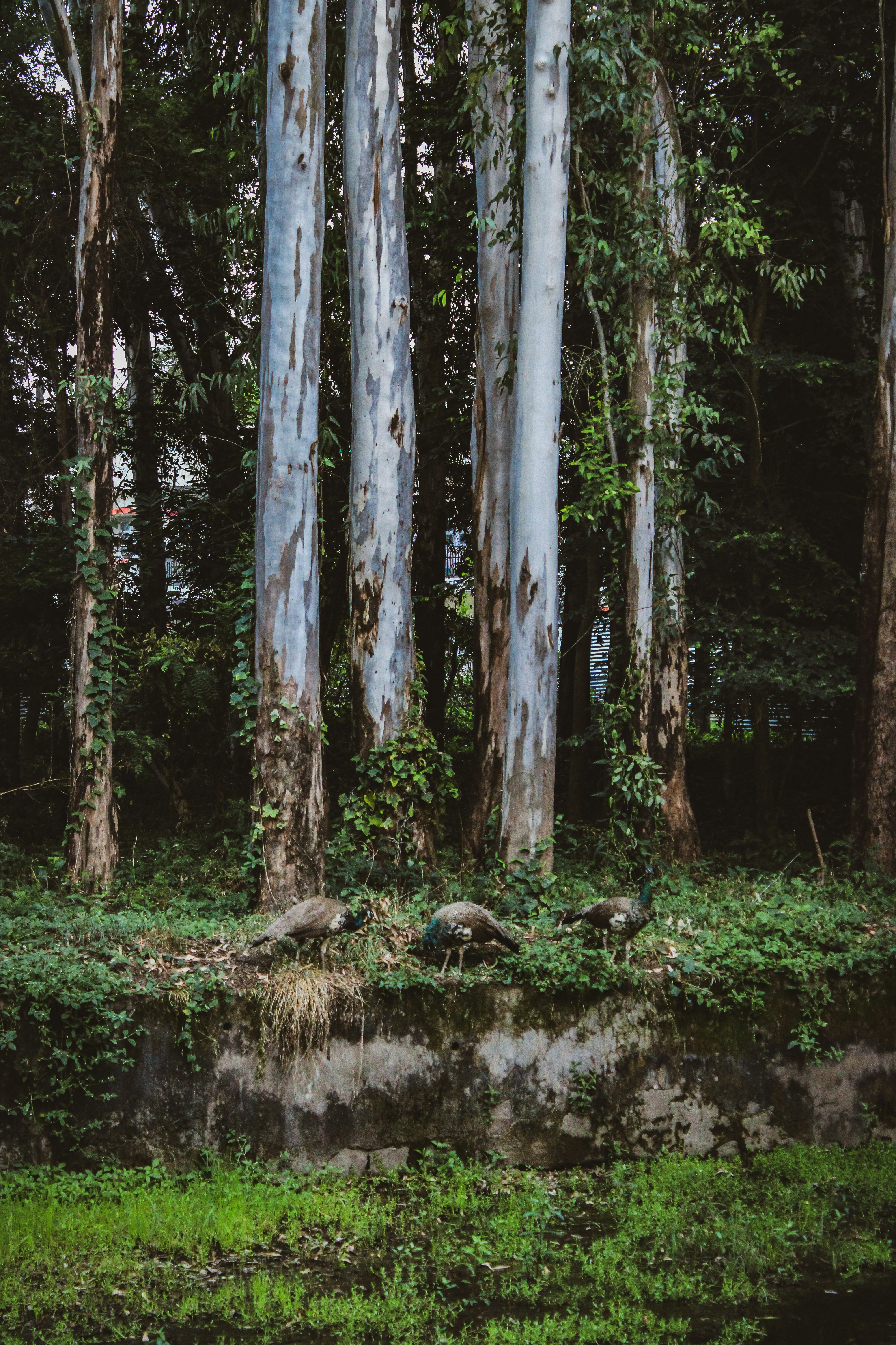 Photo by ____aka_dev0