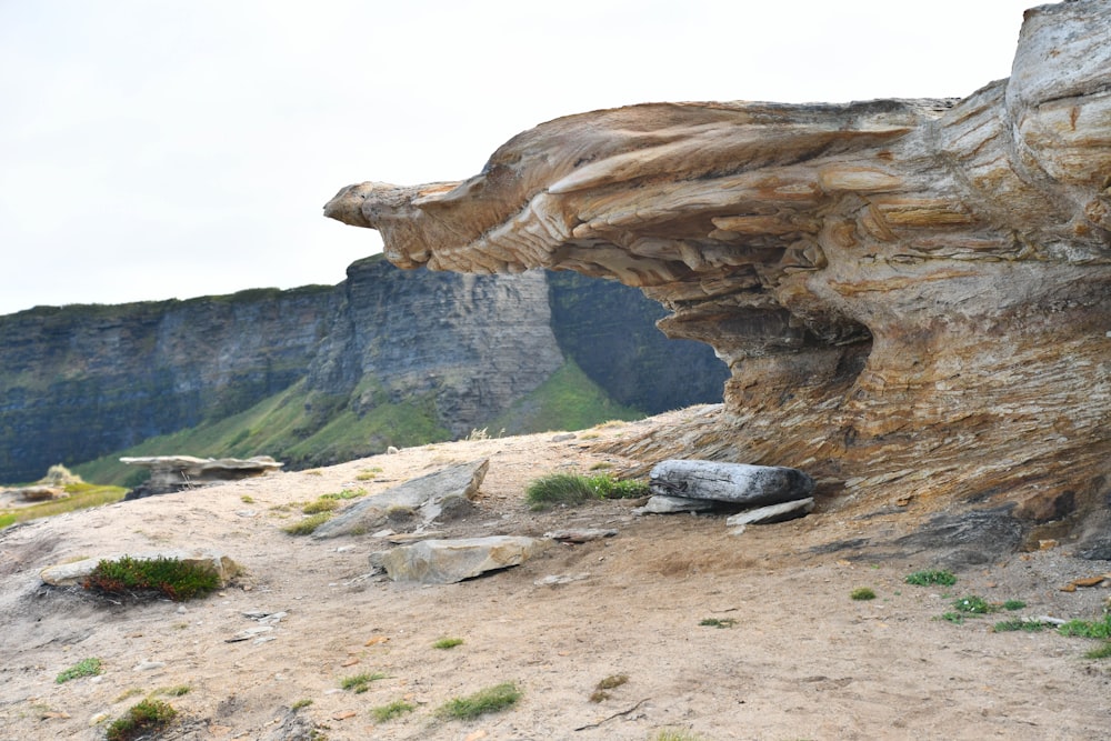 una formación rocosa en un acantilado con hierba que crece fuera de ella