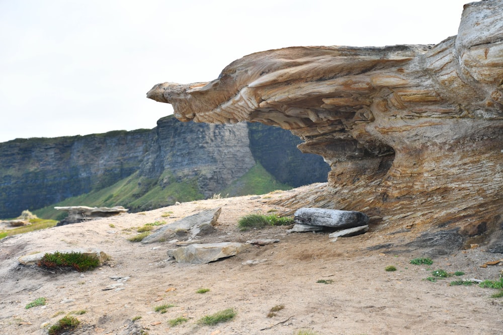 a rock formation on a cliff face with grass growing out of it