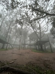 A misty forest pathway with large trees scattered throughout the scene. Elevated platforms and walkways, made of wood and metal, are constructed among the trees, blending into the foggy atmosphere. The ground is wet and muddy, adding to the overall damp and secluded ambiance.