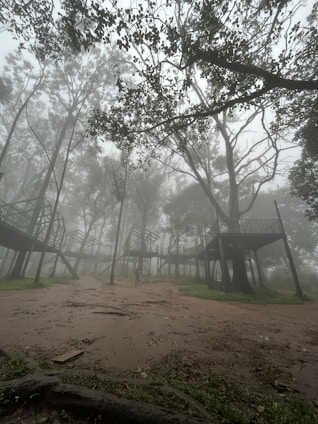 A misty forest pathway with large trees scattered throughout the scene. Elevated platforms and walkways, made of wood and metal, are constructed among the trees, blending into the foggy atmosphere. The ground is wet and muddy, adding to the overall damp and secluded ambiance.