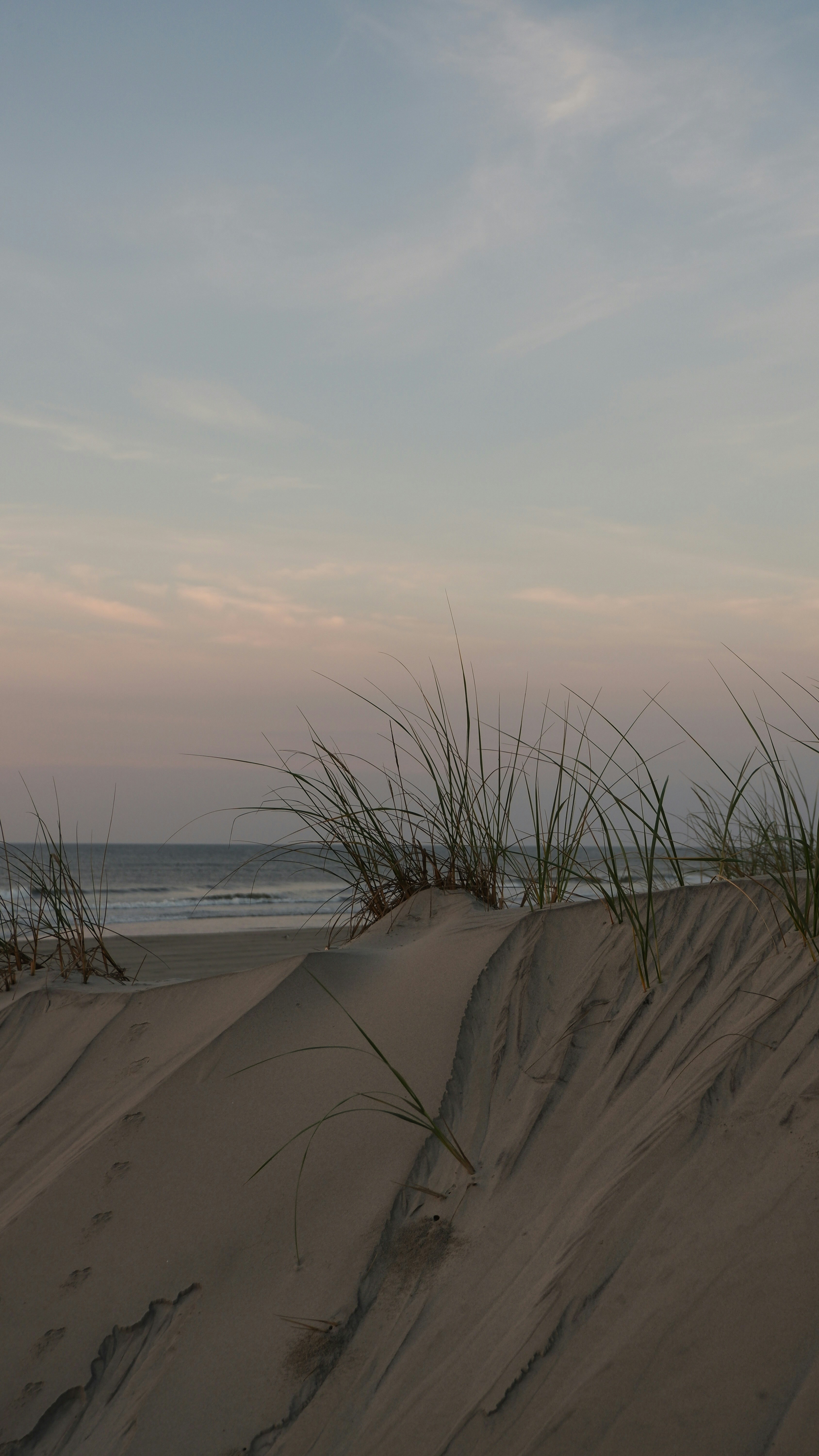 Photo by fionamurrayphoto