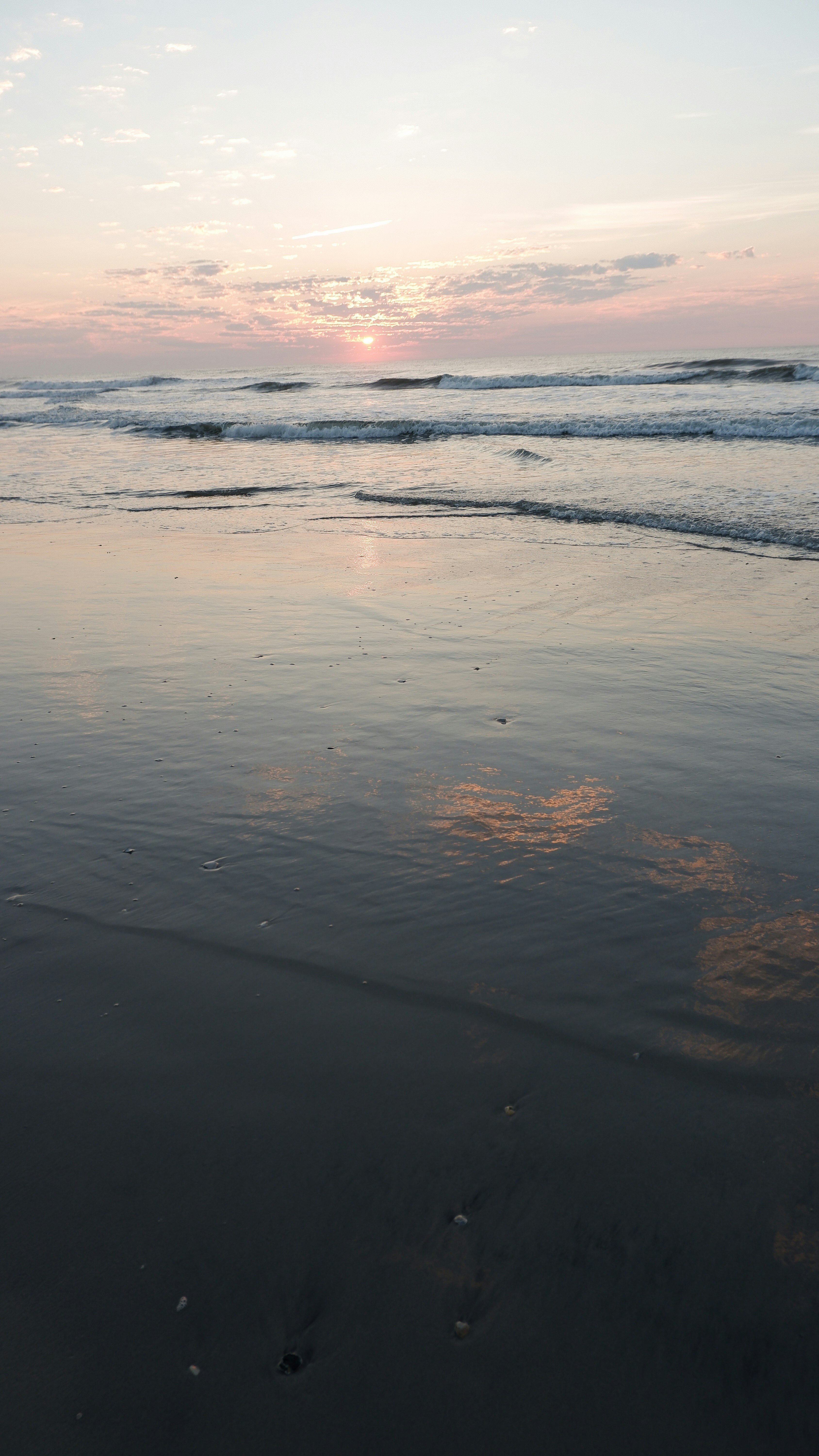 Photo by fionamurrayphoto