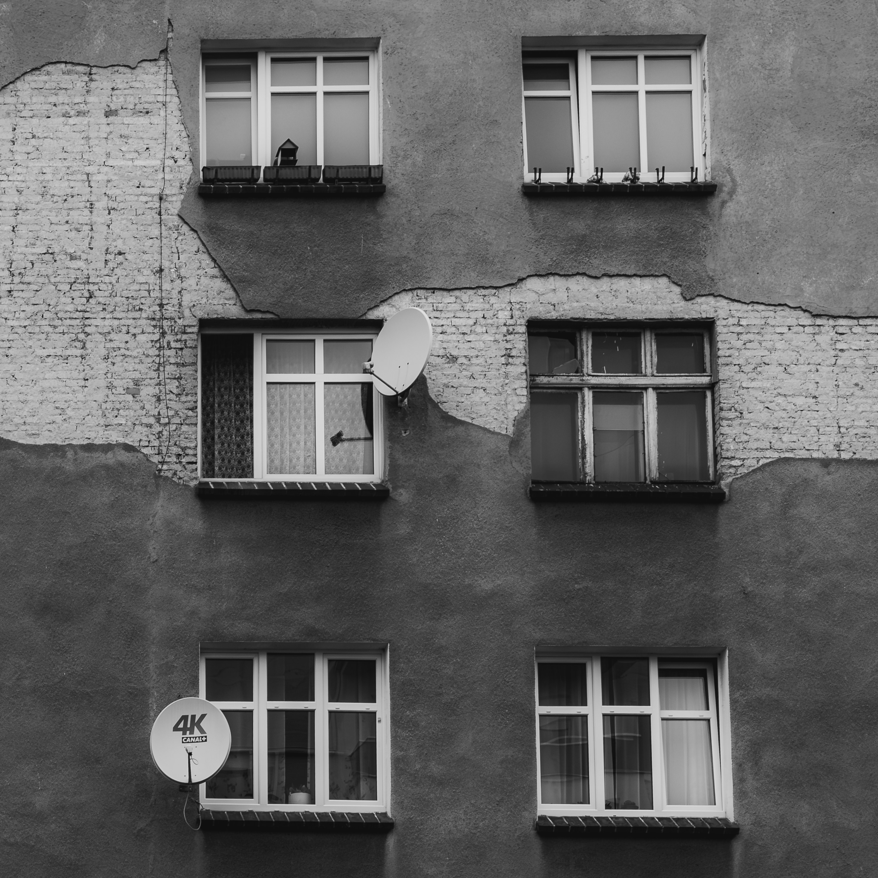 Photo by behaveadequatexp