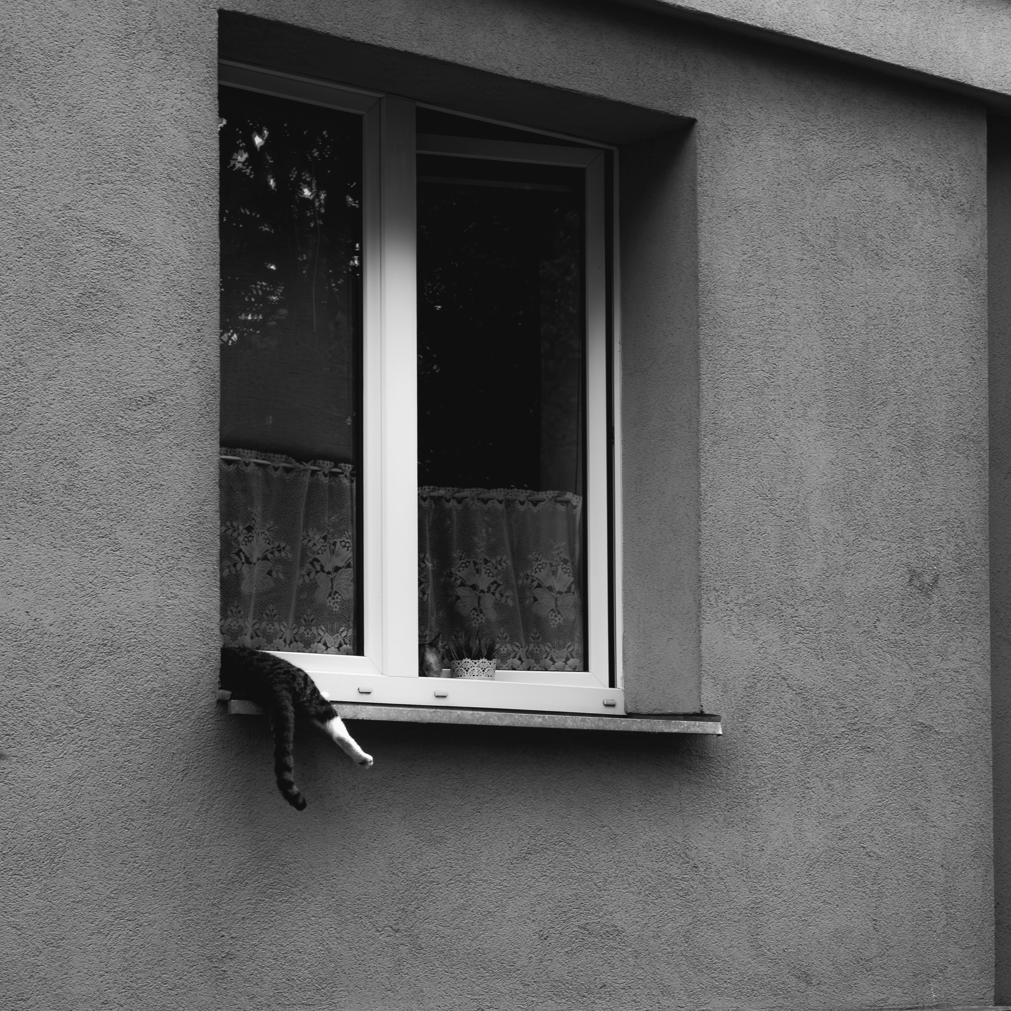 Photo by behaveadequatexp