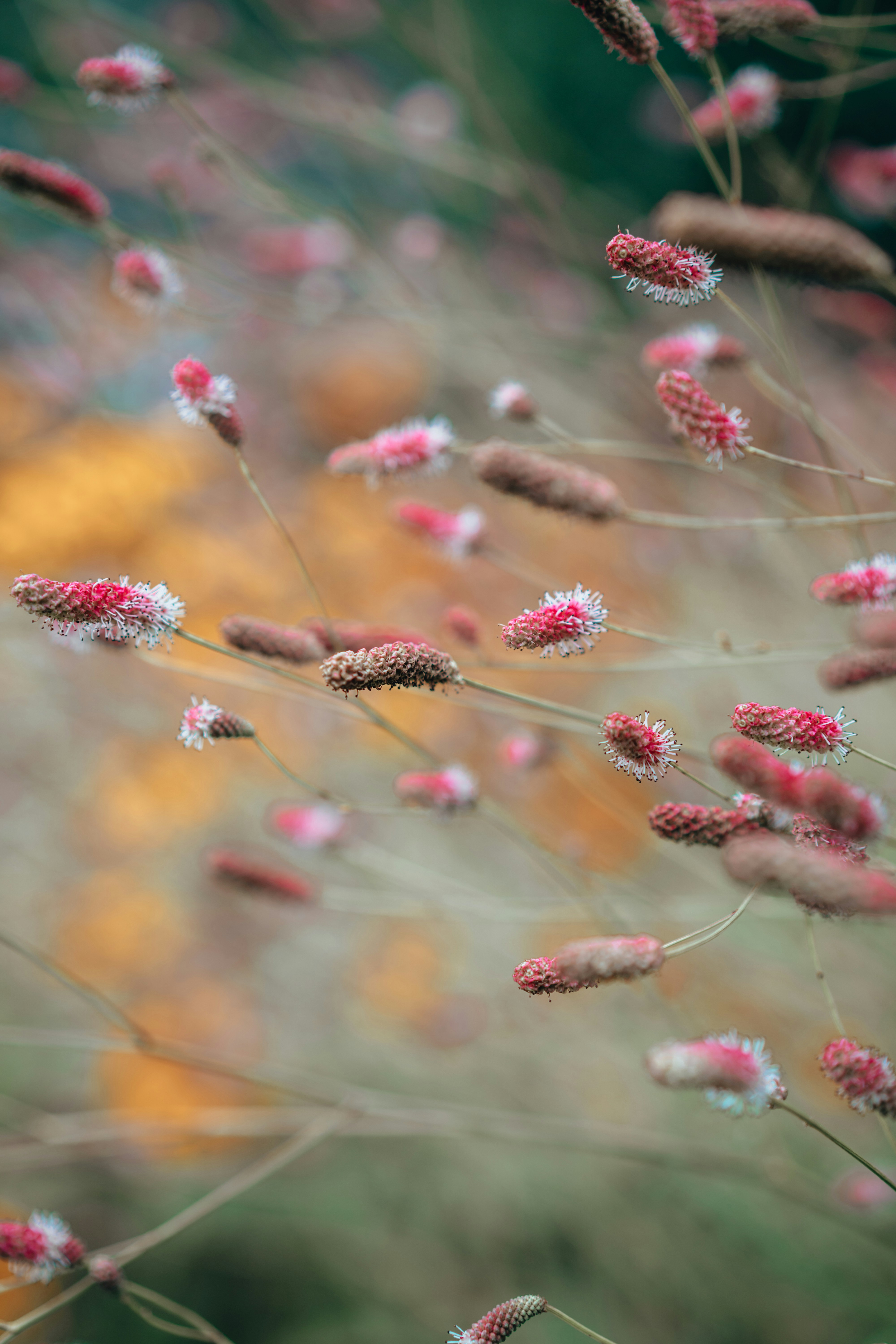 Photo by anamnesis33