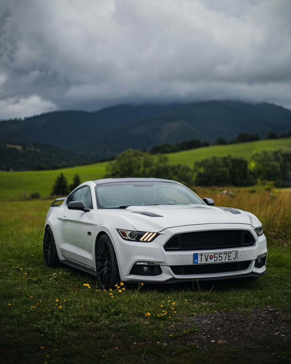 a white car parked in a field with mountains in the background